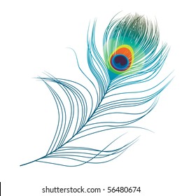 peacock plume