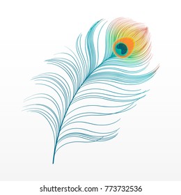 Peacock Plume. Colorful Feather Vector Illustration