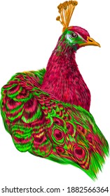 peacock portrait bird pink and green vector illustration