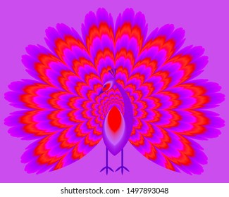 Peacock with red pulsing tail. Motion illusion.