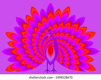 Peacock with red pulsing tail. Motion illusion.