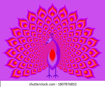 Peacock with red pulsing tail. Optical expansion illusion.
