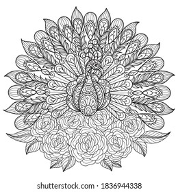 Peacock And Rose.
Zentangle Stylized Cartoon Isolated On White Background. 
Hand Drawn Sketch Illustration For Adult Coloring Book. 
