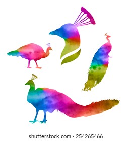 Peacock, set of multicolored silhouettes on white background, vector