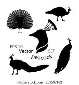Peacock set of silhouettes vector