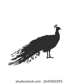 ilustração de silhueta de pavão sem fundo