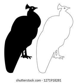 Peacock silhouette outline vector icon eps set