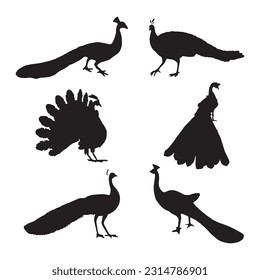 peacock silhouette set collection isolated black on white background vector illustration