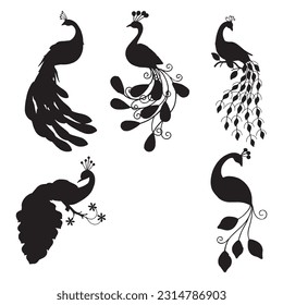 peacock silhouette set collection isolated black on white background vector illustration