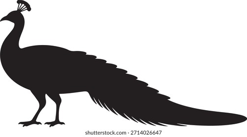 Pavo real Vector de silueta elegante pájaro de pie con ilustración de icono de cola larga
