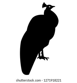 Peacock silhouette vector icon eps