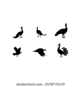 Peacock silhouette with vector illustration