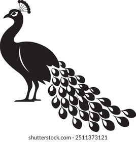 Peacock Silhouette Vector with Smooth Elements and Clear Design, Black and White Peacock Logo and Silhouette Designs