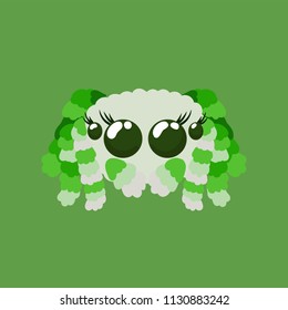 Peacock spider cute vector illustration in green colors not scary friendly arachnid