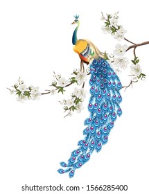 Peacock standing on branch of plum blossom flower-vector illustration