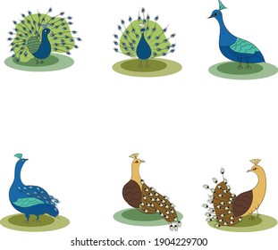 Peacock standing peafowl green and blue feathers, vector illustration cartoon