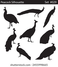 peacock standing and walking in different positions silhouette set vector. Can be used as a postcards, logos, etc,Wild ducks full body silhouette collection. peacocks silhouette on a white background.