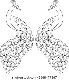 Diseño de plantilla de pavo real estampado de doodle negro, patrón retro grabado diseño decorativo tatuaje blanco y negro filigrana caligráfica.
