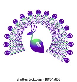 Peacock with tail abstract drawing colored