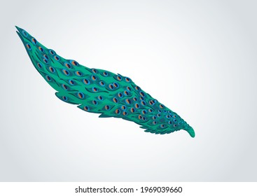 Peacock tail feather good design element in isolated background