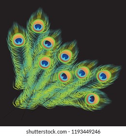 Peacock tail feathers on black background vector