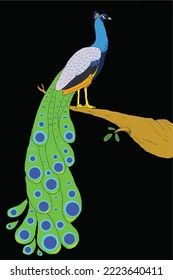 Pfau, Vektorkunst. Coole Tapeten von Tieren. schwarzer Hintergrund