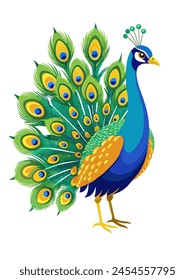 Peacock in vector for background image 
