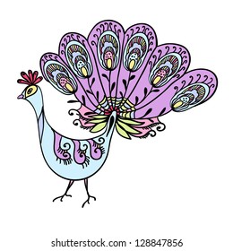 peacock vector illustration