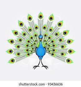 Peacock vector illustration