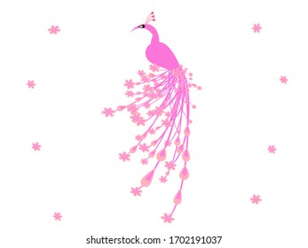peacock Vector illustration beautiful bird pink isolated on white background