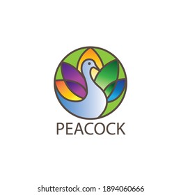 Peacock Vector Illustration Color Line Logo Stock Vector (Royalty Free ...