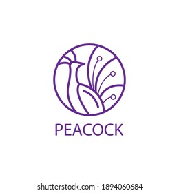 Peacock Vector Illustration Color Line Logo Stock Vector (Royalty Free ...