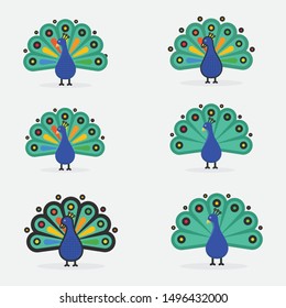 peacock vector illustration for logo or mascot
