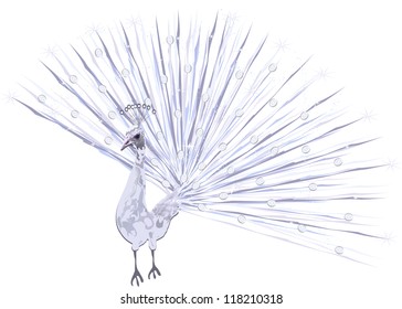 Peacock. A vector illustration a peacock on a white background of EPS 10.
