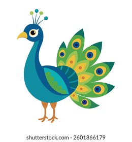 Peacock vector image in white background
