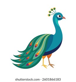 Peacock vector image in white background