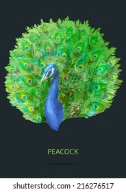 Peacock vector polygon