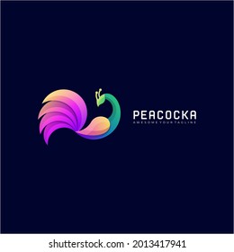 Peacocka gradient colorful logo template