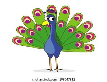 Peacocks have beautiful tails,Vector