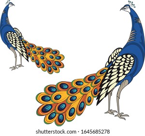 Peacocks. Conjunto de vectores de pavo real. Logotipo de pájaro
