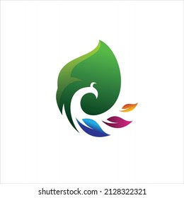 peacook  bird logo formed head green vector design template