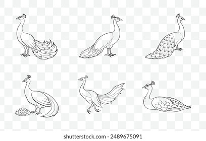 Peafowl Line Art Vector Set with Elegant Designs for Artistic Creations and Graphic Projects