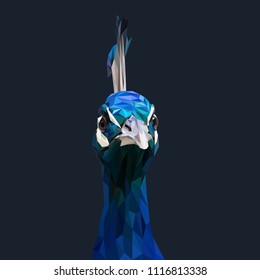 Peafowl low poly design. Triangle vector illustration.