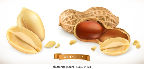 Peanut. 3d realistic vector icon set