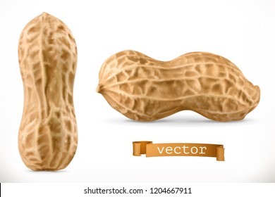 Peanut. 3d Vector Realistic Icon