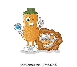 peanut archaeologists with dinosaur fossils mascot. cartoon vector