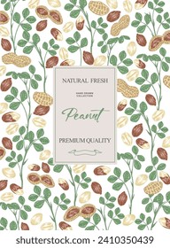 Peanut background. Hand drawn Peanut plant with nuts and leaves. Vector illustration.