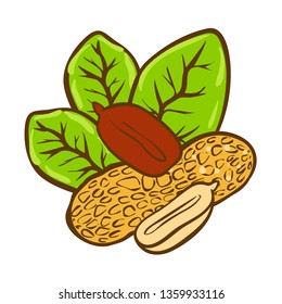 Peanut butter doodle vector icon. Cartoon illustration of peanut icon for web design. Nuts hand drawn emblems and labels isoleted on white backgraund
