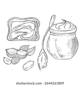 Peanut butter and ingredient for peanut butter toast sketch. Hand drawn collection. Vector illustration.