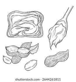 Peanut butter and ingredient for peanut butter toast sketch. Hand drawn collection. Vector illustration.